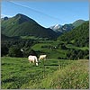 Mai 63 &middot; Pastorale - Arthez d'Asson &middot; &copy; stockli